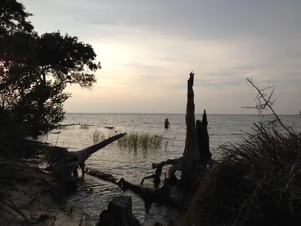 1431 Dove Ln, St. George Island, FL 32328