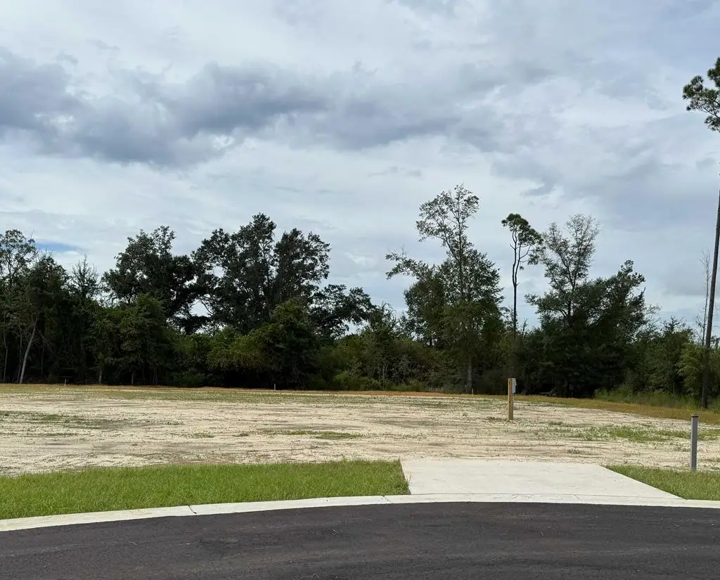 199 Kiera Ct, Wewahitchka, FL 32465 - #1