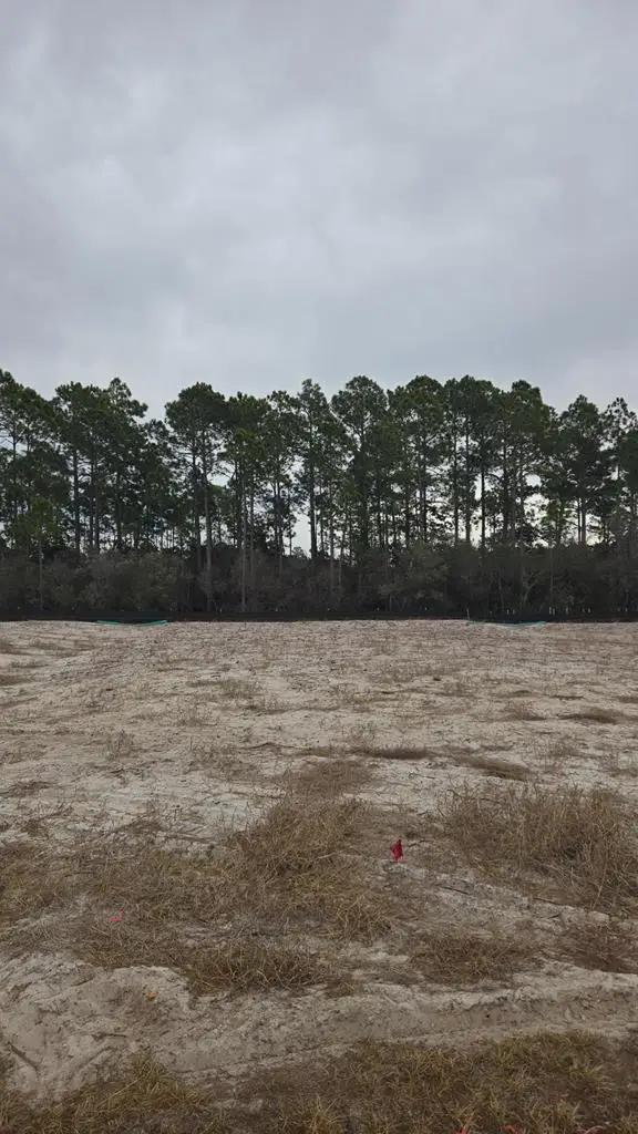 174 Porter Dr, Port Saint Joe, FL 32456 - #2