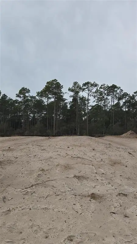 190 Porter Dr, Port Saint Joe, FL 32456 - #2