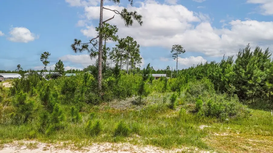 Lot 21 Chellsey St, Wewahitchka, FL 32465 - #2