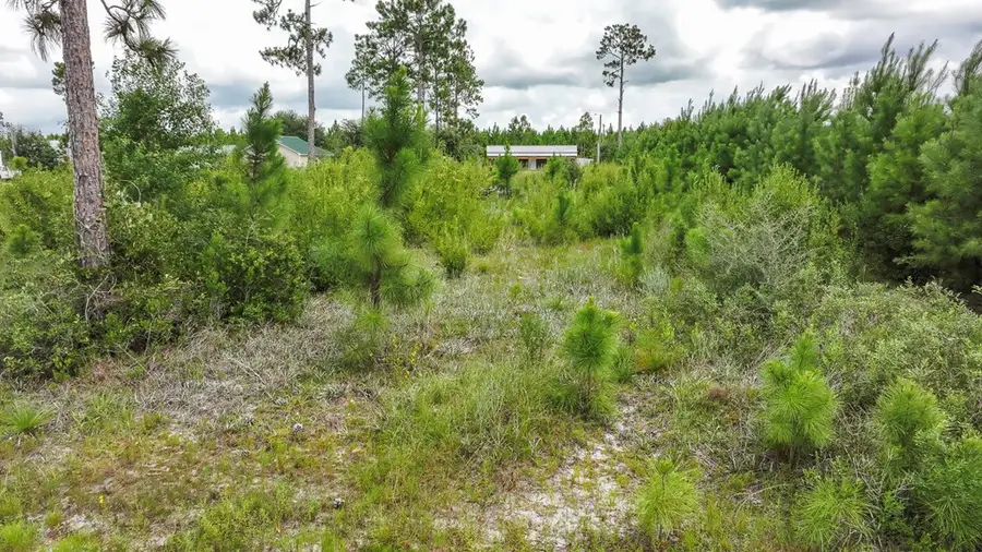 Lot 21 Chellsey St, Wewahitchka, FL 32465 - #3
