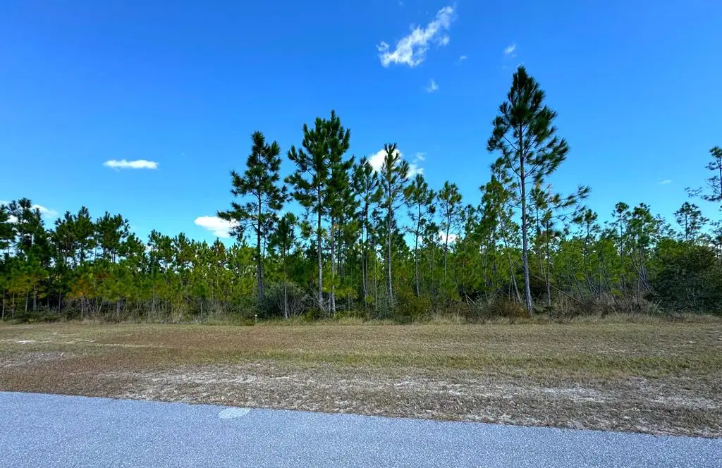 Lot 17 Wide Water Cir, Wewahitchka, FL 32465 - #1