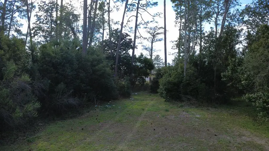 TBD Monica Dr, Port Saint Joe, FL 32456 - #3