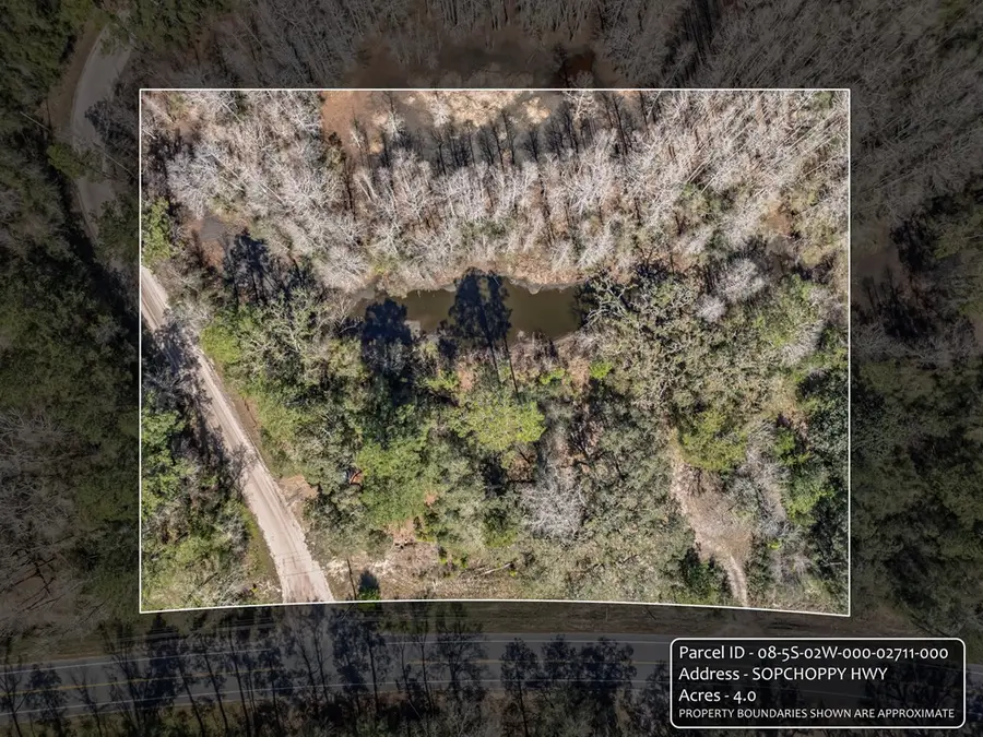 0 Sopchoppy Hwy, Sopchoppy, FL 32358 - #3