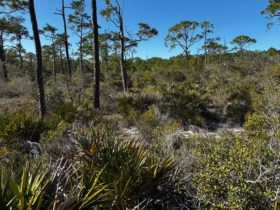 1364 Acacia Dr, Saint George Island, FL 32328 - #2