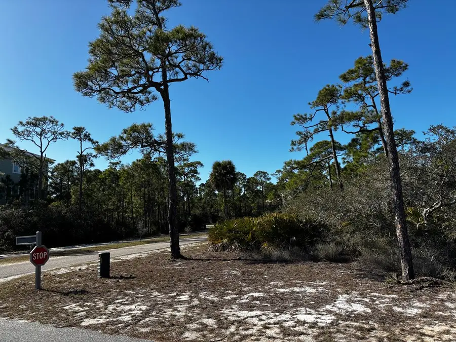2000 Pelican Way, Saint George Island, FL 32328 - #2