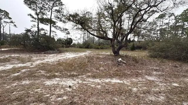 1377 E Gulf Beach Dr, Saint George Island, FL 32328 - #2