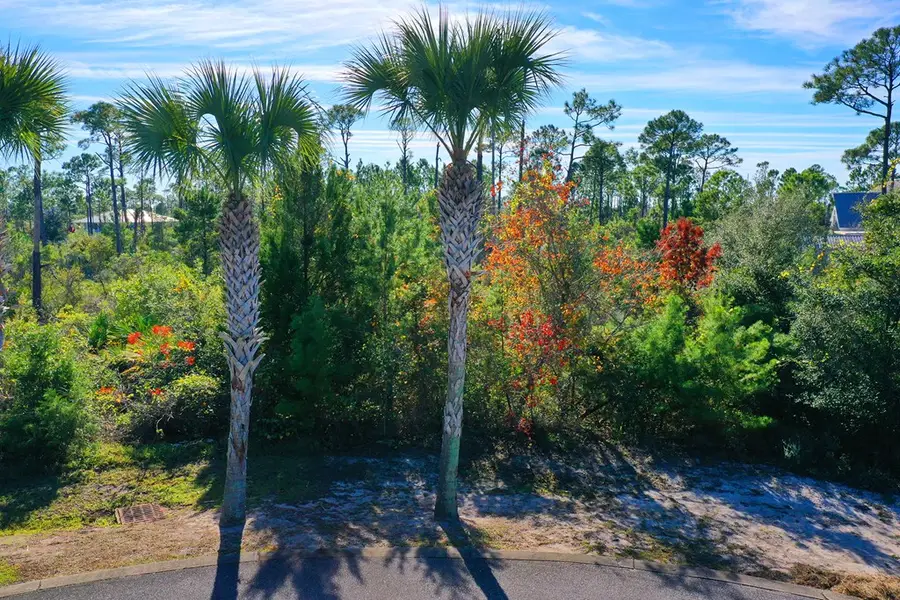 109 Conch St, Port Saint Joe, FL 32456 - #2