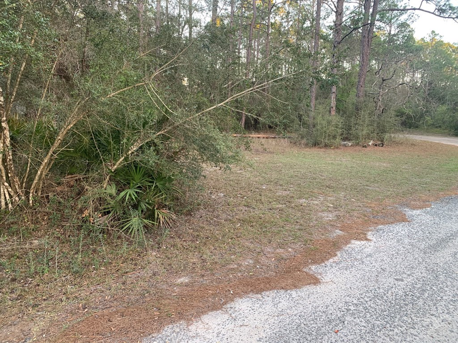 Lot 11 Buckhorn Creek Rd, Sopchoppy, FL 32358 - #3