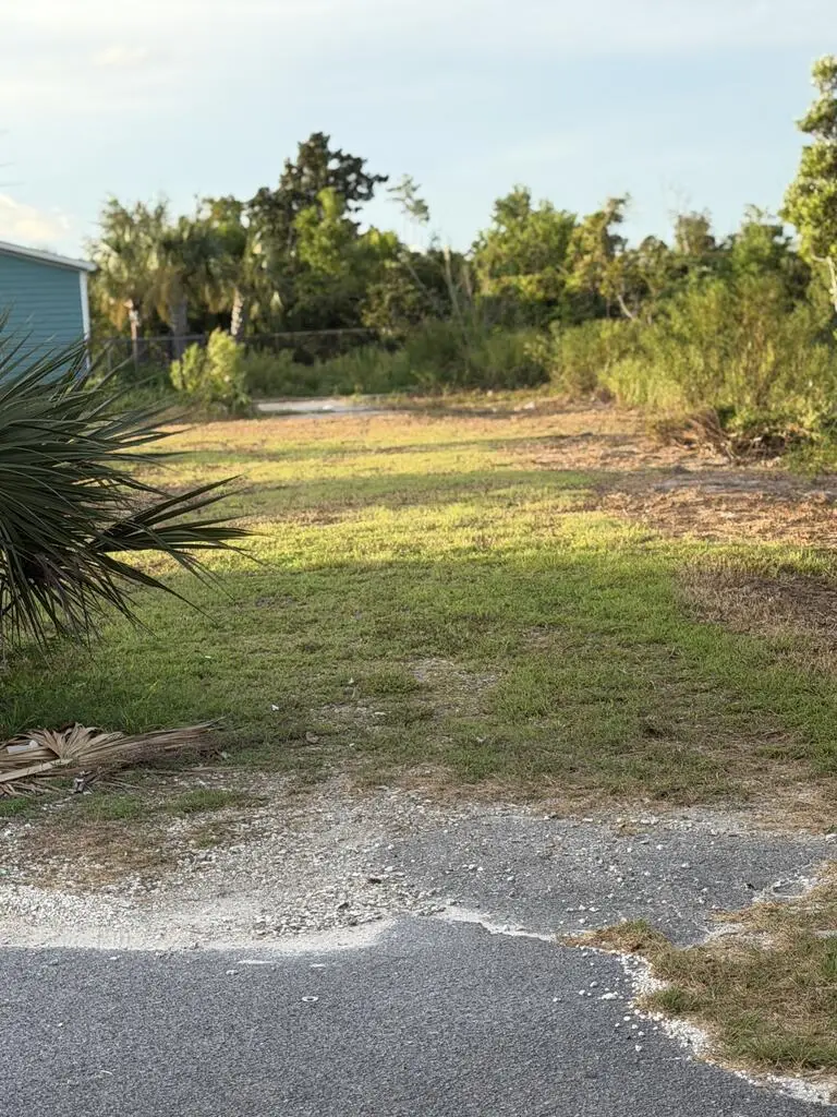 211 Alabama Dr, Mexico Beach, FL 32456 - #2