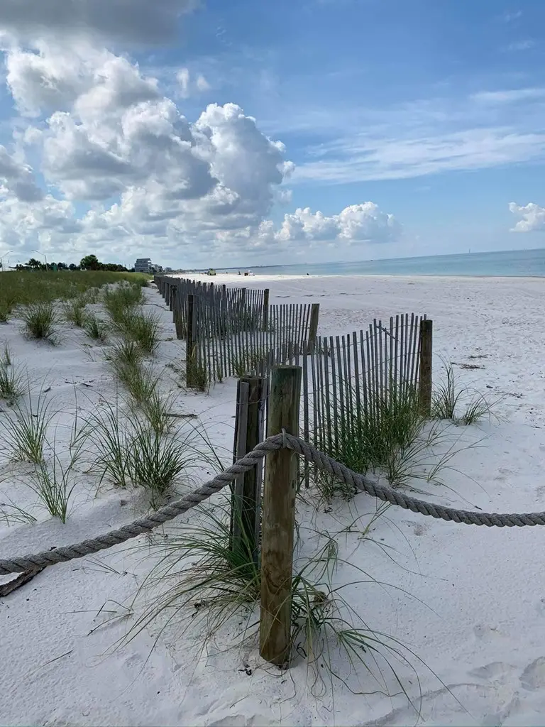 8990 Cr 386 N, Wewahitchka, FL 32465 - #2