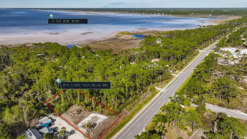1133 Cape San Blas Rd, Port Saint Joe, FL 32456 - #1