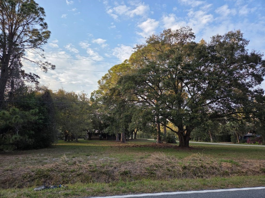 112 Hinton St, Carrabelle, FL 32322 - #2