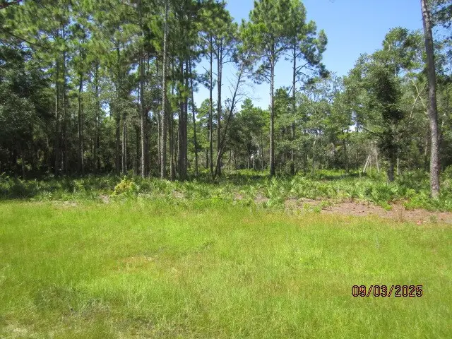 315 Gramercy Plantation Blvd, Eastpoint, FL 32328 - #3