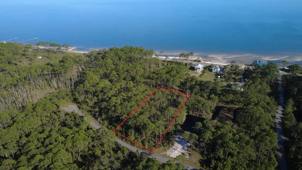 147 Bay Magnolia Ln, Carrabelle, FL 32322 - #1