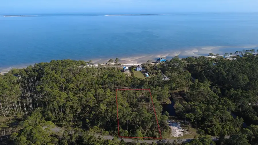 147 Bay Magnolia Ln, Carrabelle, FL 32322 - #3