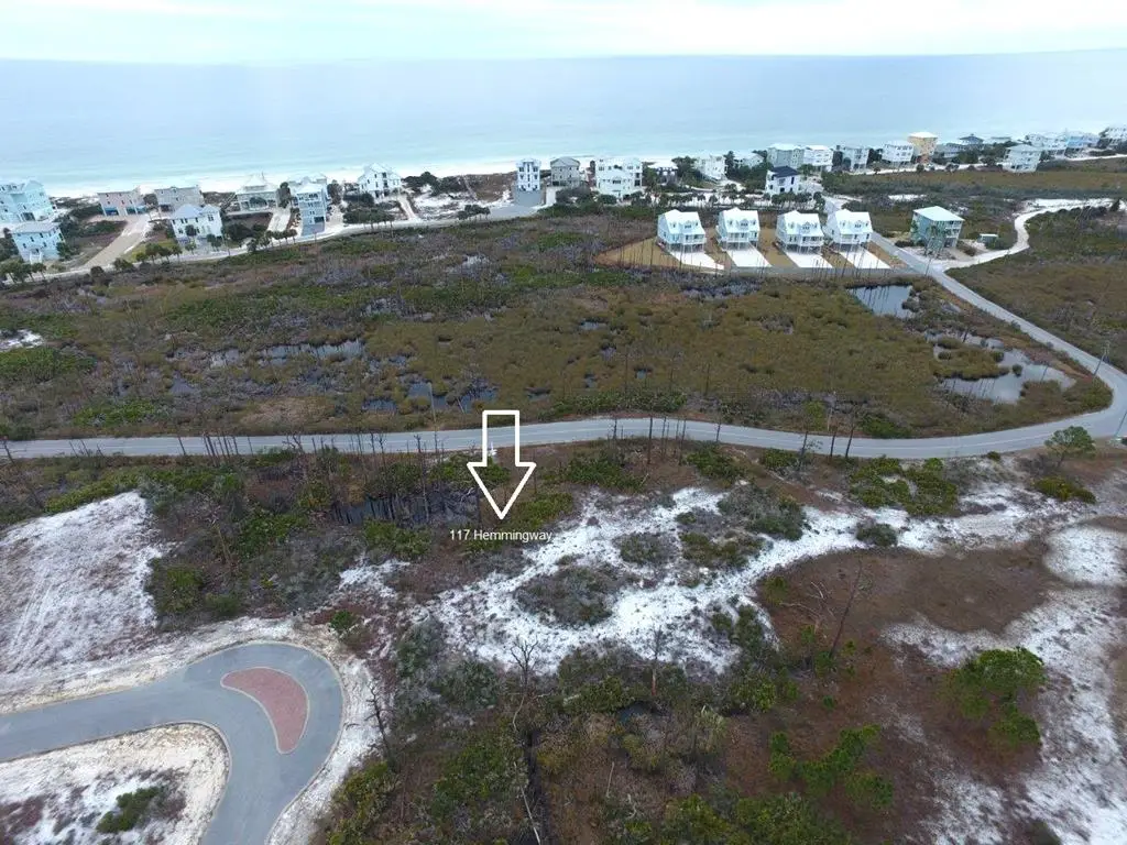 117 Hemmingway Cr, Cape San Blas, FL 32456 - #1