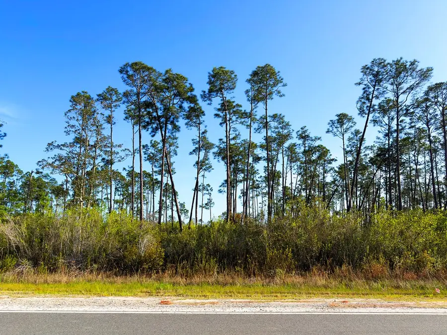 TBD Cr 386 N, Wewahitchka, FL 32465 - #2