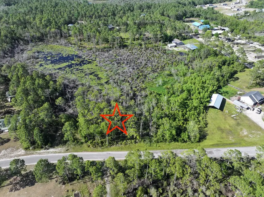 221 Baywood Dr, Carrabelle, FL 32322 - #3