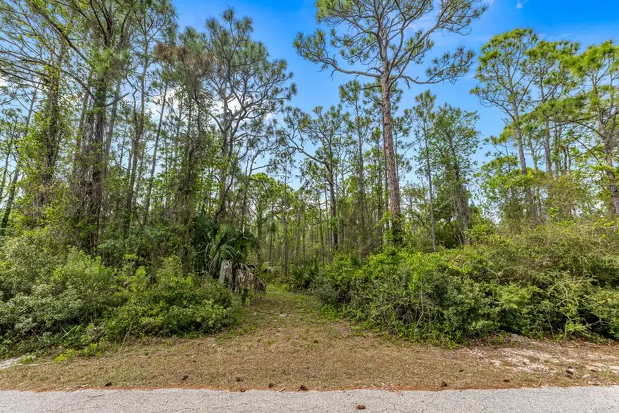 2043 Sand Dollar Trl, Saint George Island, FL 32328 - #2