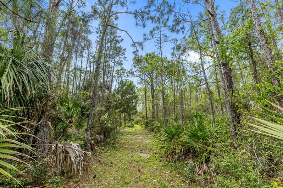 2043 Sand Dollar Trl, Saint George Island, FL 32328 - #3