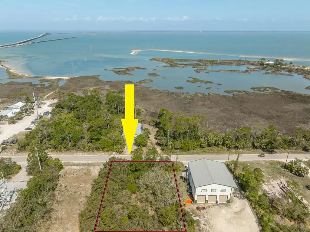 316 E Pine Ave, Saint George Island, FL 32328 - #1