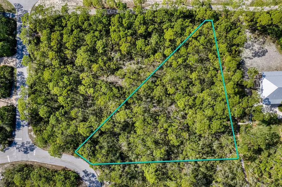1604 Forsythia Way, Saint George Island, FL 32328 - #2