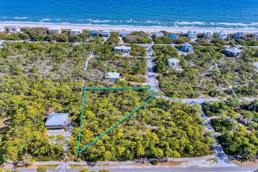 1604 Forsythia Way, Saint George Island, FL 32328 - #3
