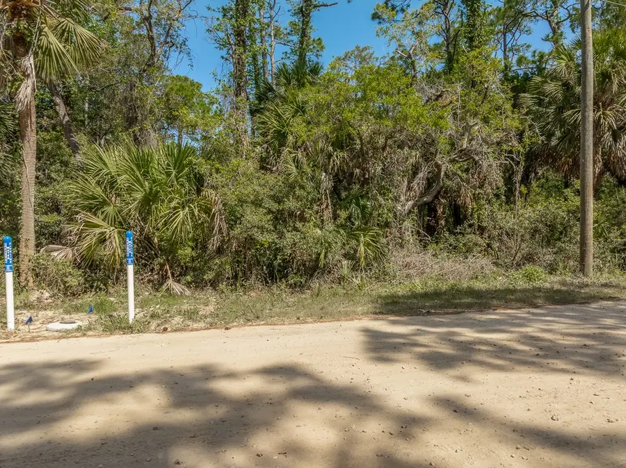 673 E Pine Ave, Saint George Island, FL 32328 - #2