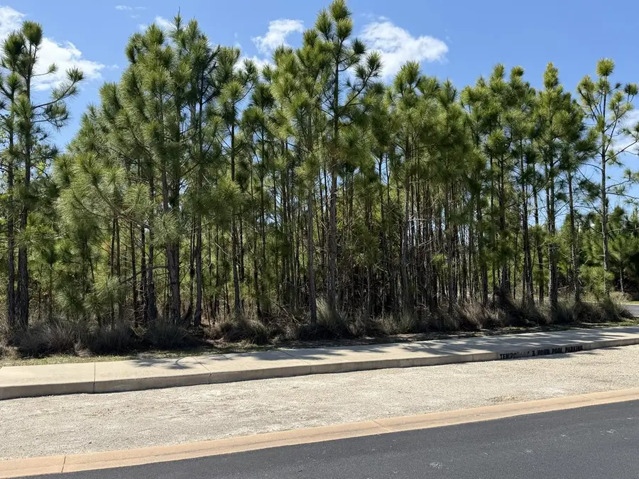 33 N Echo Ln, Port Saint Joe, FL 32456 - #2