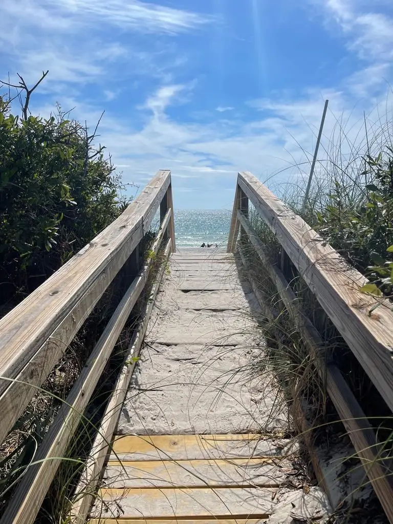 223 Driftwood Ave, Port Saint Joe, FL 32456 - #3