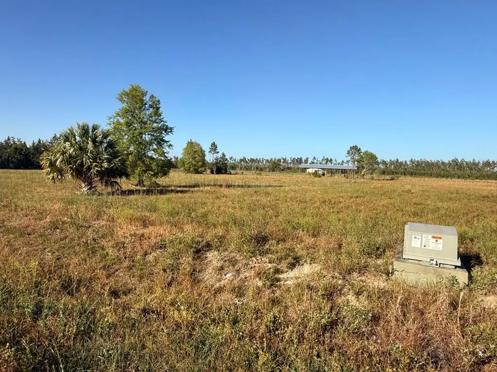 Lot 12 Harmony St, Wewahitchka, FL 32465 - #1