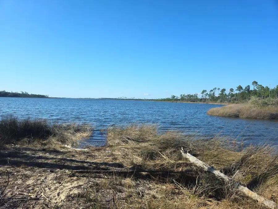 TBD Pleasant Rest Rd, Wewahitchka, FL 32465 - #2