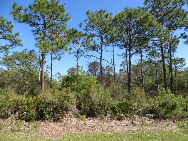 332 Frank Mckamey Way, Carrabelle, FL 32322 - #1