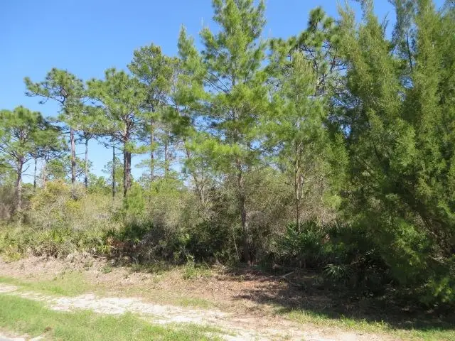 332 Frank Mckamey Way, Carrabelle, FL 32322 - #2