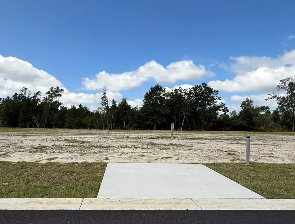 181 Kiera Ct, Wewahitchka, FL 32465 - #1