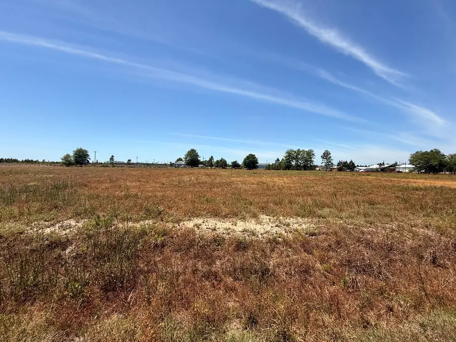Lot 3 Harmony St, Wewahitchka, FL 32465 - #3
