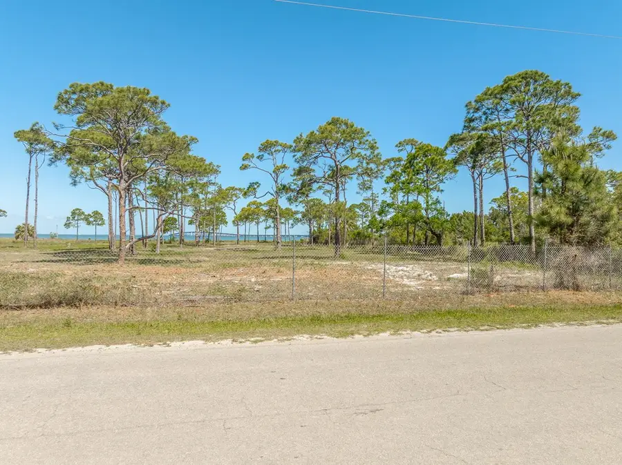Lot 4 W Bay Shore Dr, Saint George Island, FL 32328 - #3