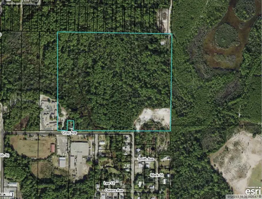 1212 Gray Ave, Carrabelle, FL 32322 - #3