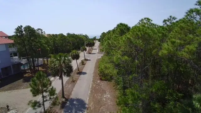 2144 Dolphin Ct, Saint George Island, FL 32328 - #1