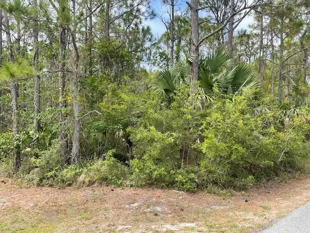 2140 Dolphin Ct, Saint George Island, FL 32328 - #2
