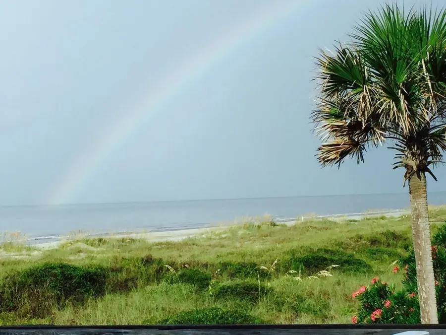 2140 Dolphin Ct, Saint George Island, FL 32328 - #3