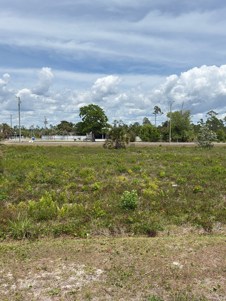Lot 7 Florida Ave, Mexico Beach, FL 32456 - #2