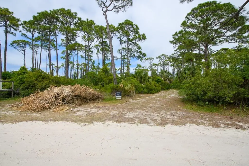 1107 E Gulf Beach Dr, Saint George Island, FL 32328 - #1