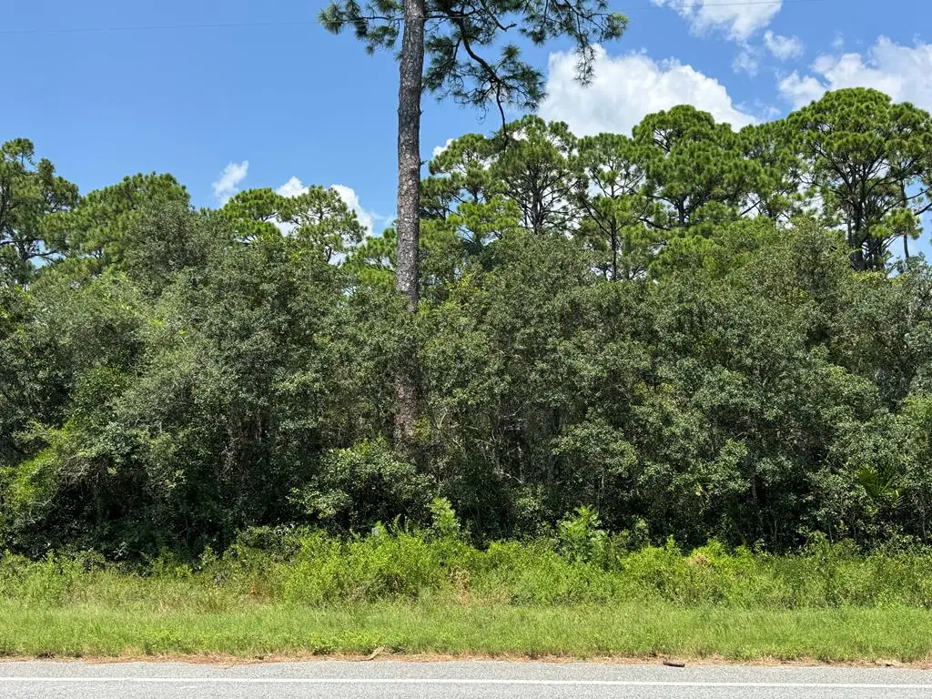 1979 Hwy 98 W, Carrabelle, FL 32322 - #1
