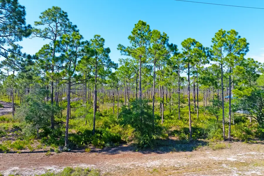 9103 Cr 30-a, Port Saint Joe, FL 32456 - #2