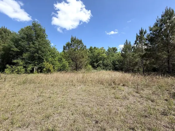5581 Hwy 71 S, Wewahitchka, FL 32465