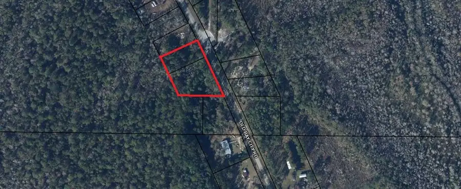 Lot 1 Old Bay City Rd, Wewahitchka, FL 32465 - #2