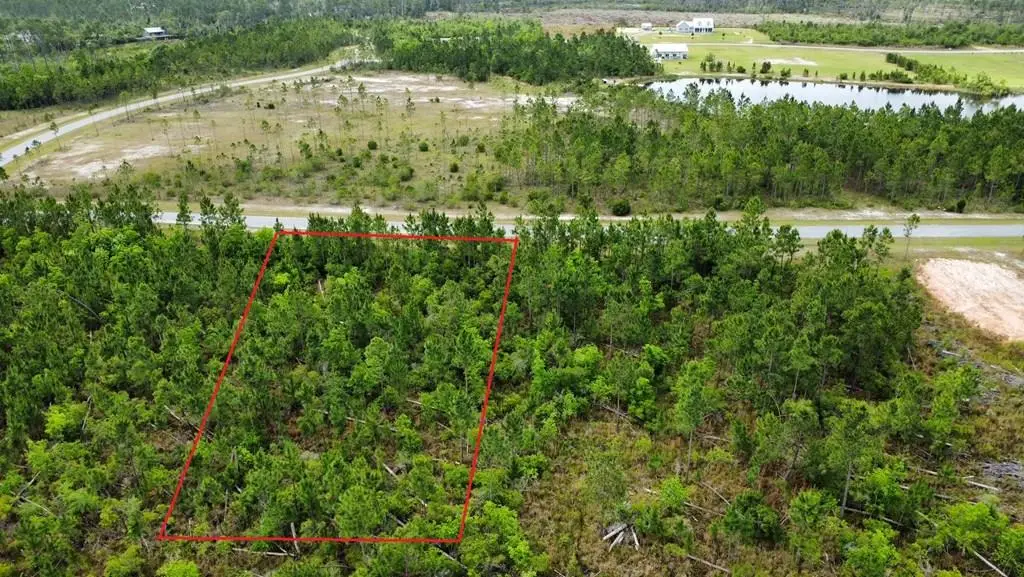103 Torrey Pine Trl, Wewahitchka, FL 32465 - #1